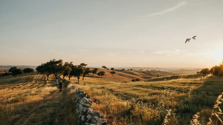 🇫🇷 Portugal : l'Alentejo, nouvelle destination prisée des acheteurs internationaux 🇬🇧 Portugal : Alentejo emerging as top destination for international property buyers