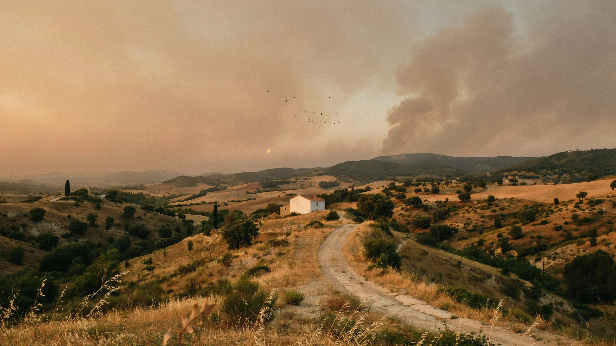 🇫🇷 Incendies en Espagne été 2026 : un tiers des surfaces brûlées en Europe sont espagnoles 🇬🇧 Spain Wildfires Summer 2026: A Third of All EU Burned Land is Spanish