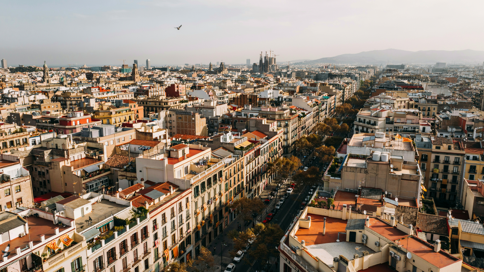 🇫🇷 Catalogne 2026 : l’amnistie validée par l’Europe, mais Puigdemont toujours dans l’impasse 🇬🇧 Catalonia 2026: Amnesty Validated by Europe, But Puigdemont Still in Legal Limbo