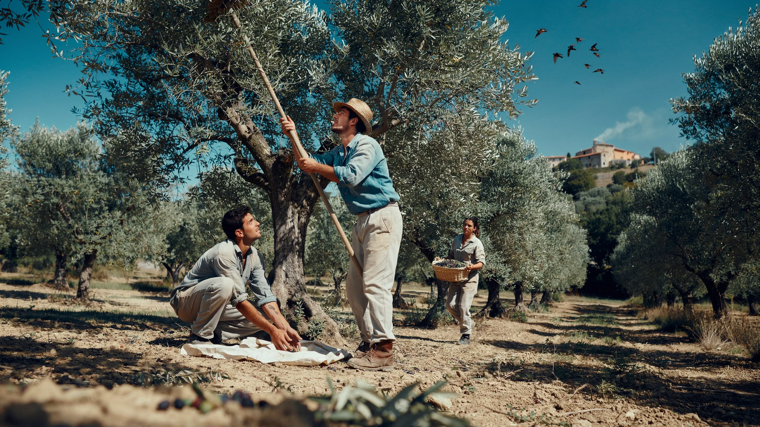 🇫🇷 Le Mezzogiorno qui refuse de mourir : ces Italiens du Sud qui réinventent leur territoire 🇬🇧 The Mezzogiorno That Refuses to Die: Southern Italians Reinventing Their Territory