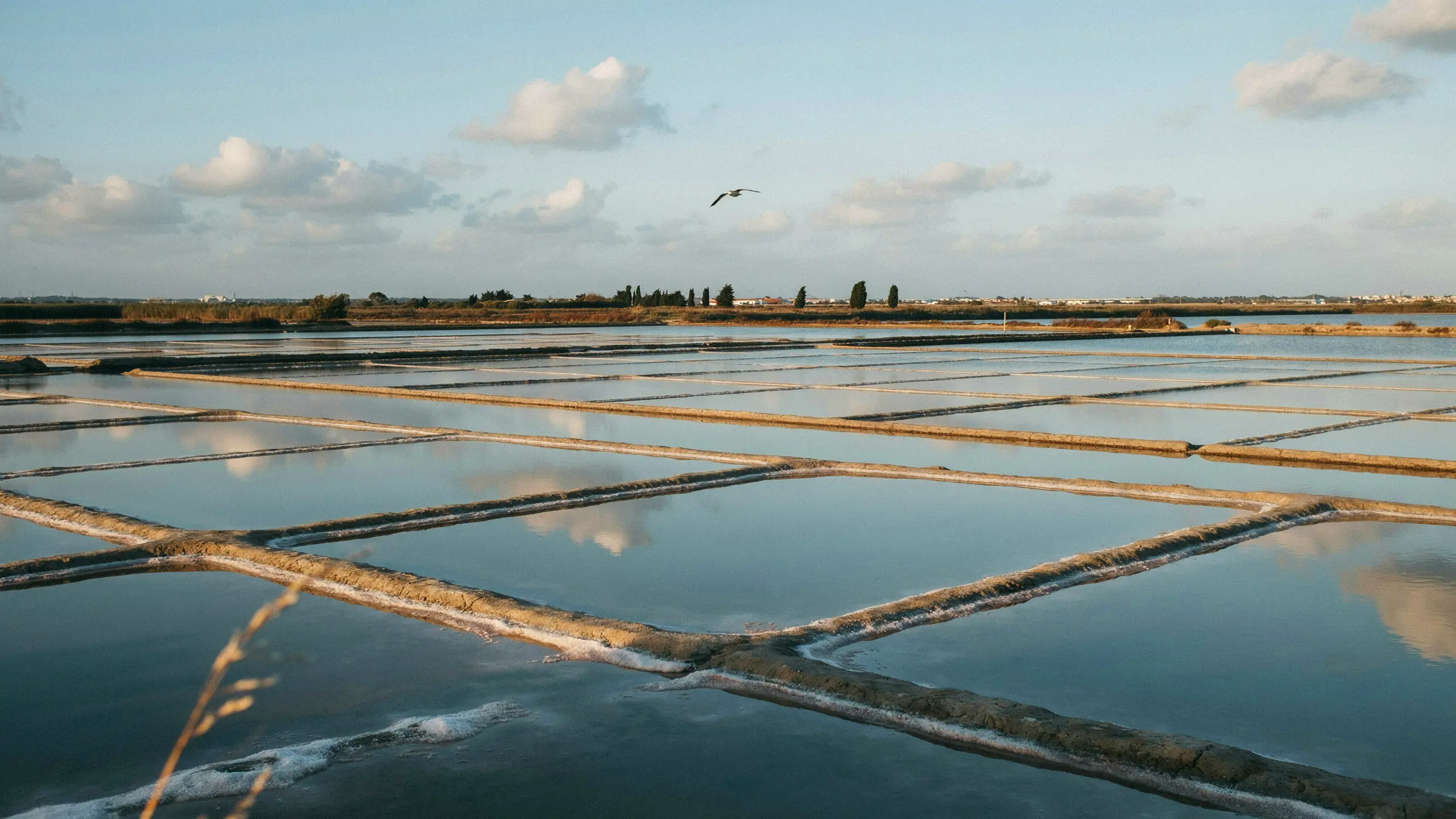 🇫🇷 Comment le sel a façonné l&rsquo;histoire du Portugal pendant plus de 2000 ans 🇬🇧 How Salt Shaped Portuguese History for Over 2,000 Years